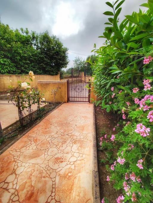 Villetta Di Anastasia 1 Tropea Filandari Kültér fotó
